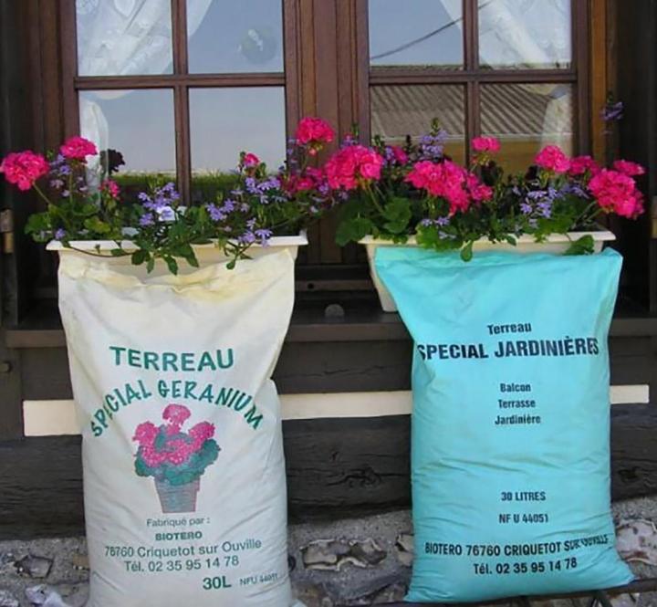 Quels types de terreaux sont adaptés aux différentes plantes d'extérieur ? Criquetot-sur-Ouville